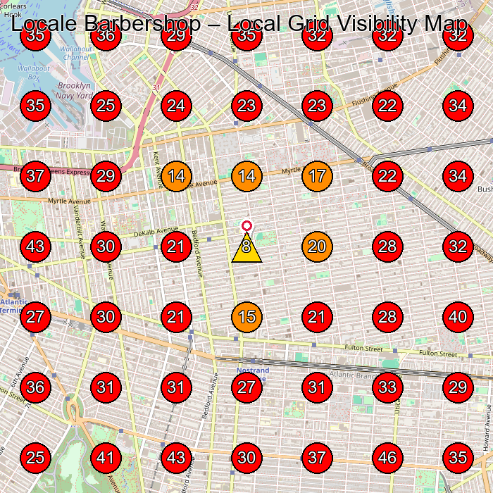 Locale Barbershop GeoGrid visibility map for Barber Shop in Brooklyn